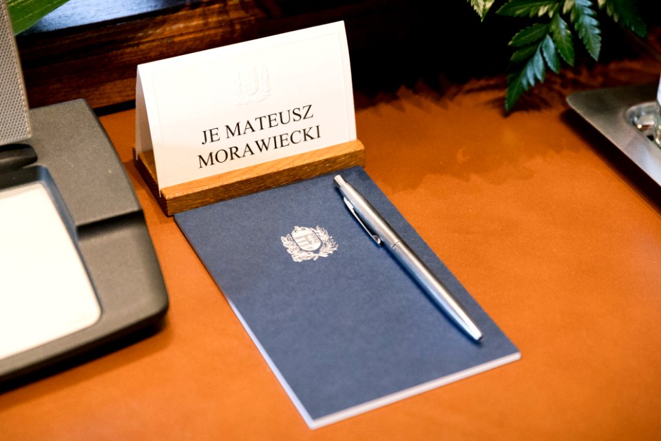 Oficjalna wizyta premiera Mateusza Morawieckiego w Budapeszcie (25601159178)