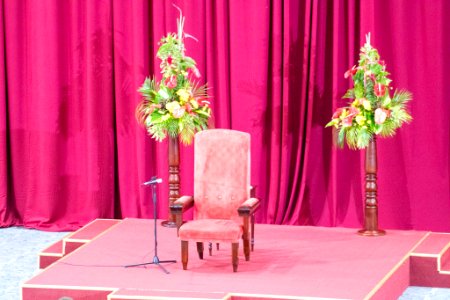 Opening of Parliament and Throne Speech (50345374396)