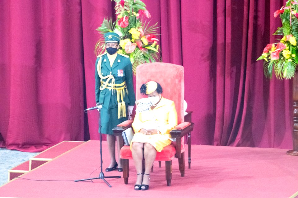 Opening of Parliament and Throne Speech (50345415771)