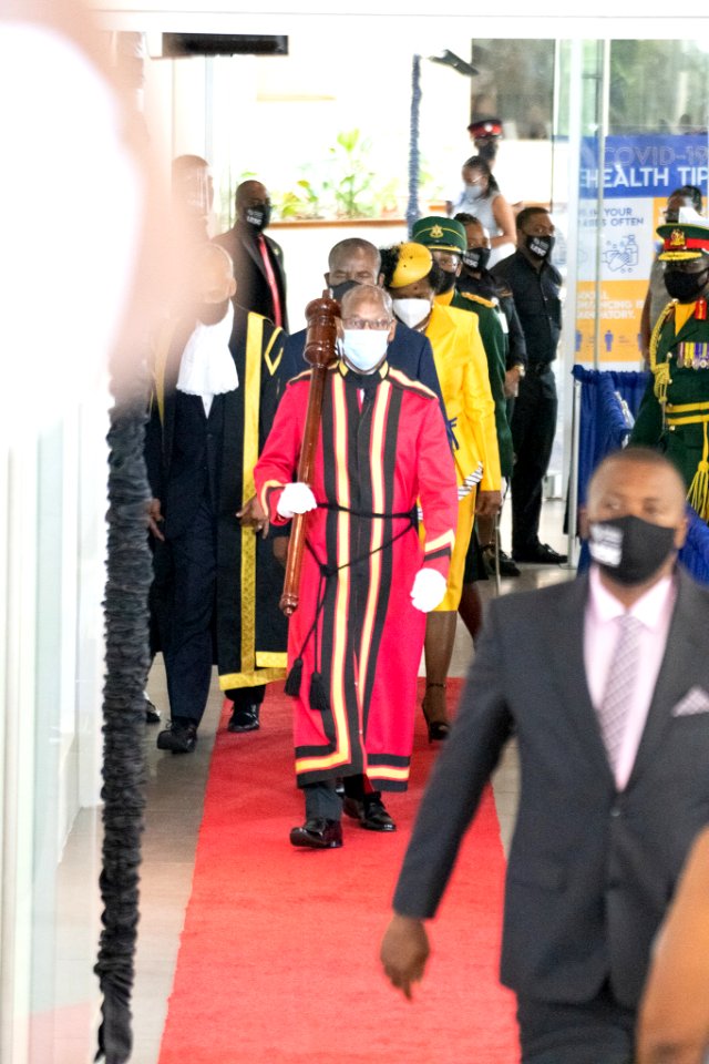 Opening of Parliament and Throne Speech (50345416281)