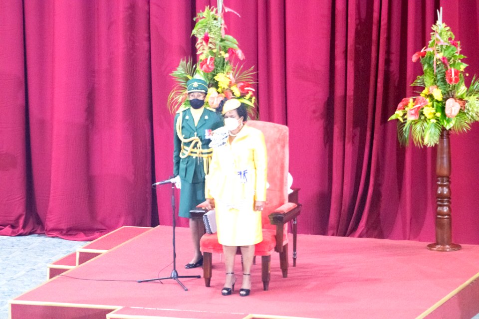 Opening of Parliament and Throne Speech (50344733588)