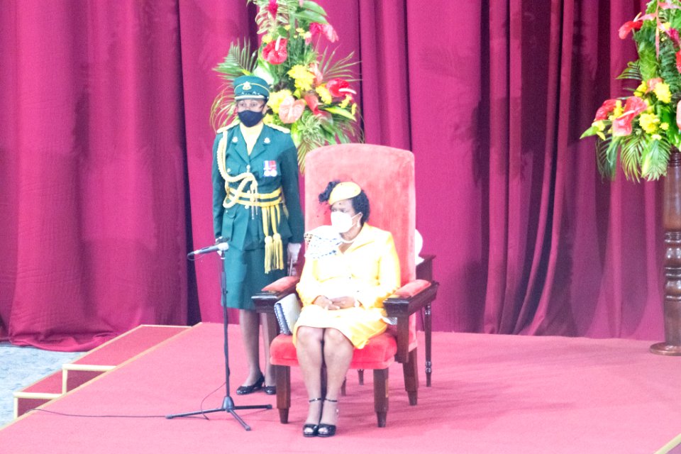 Opening of Parliament and Throne Speech (50345575332)