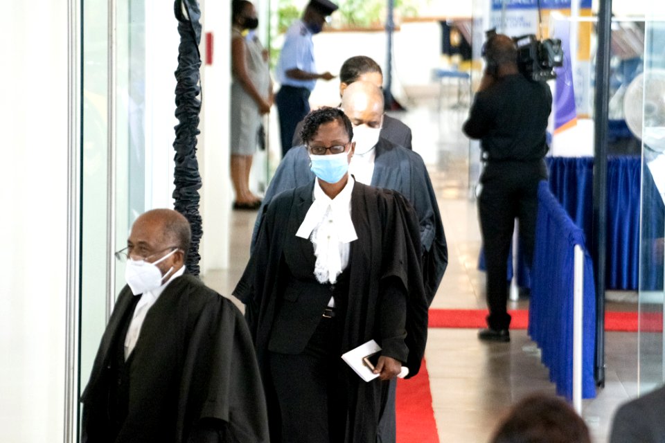 Opening of Parliament and Throne Speech (50345361616)