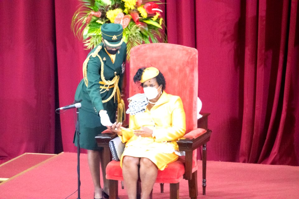 Opening of Parliament and Throne Speech (50345590092)