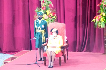Opening of Parliament and Throne Speech (50345586127)