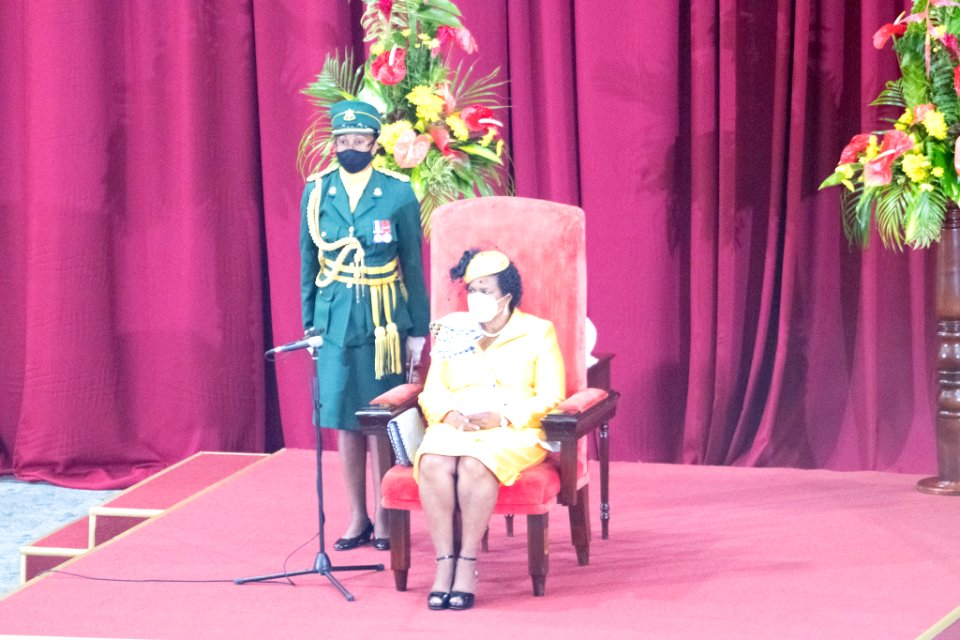 Opening of Parliament and Throne Speech (50345589647)
