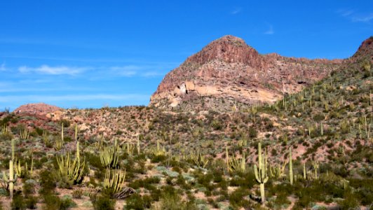 Organ Pipe Cactus and Diablo Mountains (12597819874) photo