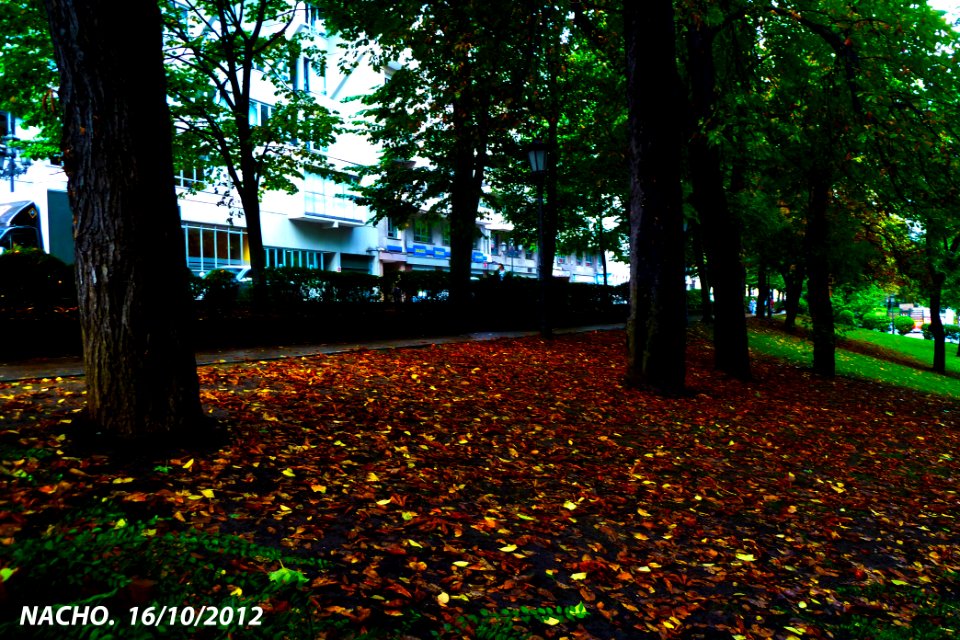Otoño (11193256473)