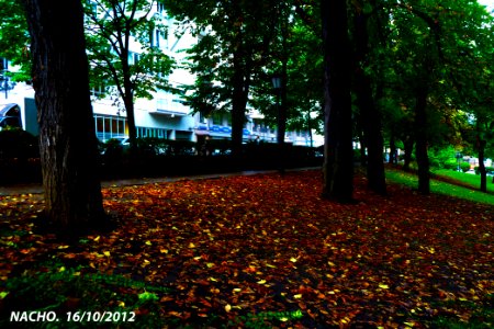Otoño (11193256473)
