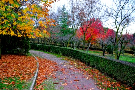 Otoño en el Parque (15731330919) photo