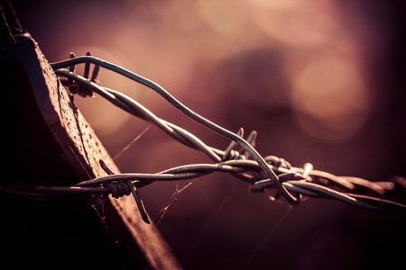 No person barbed wire wood photo