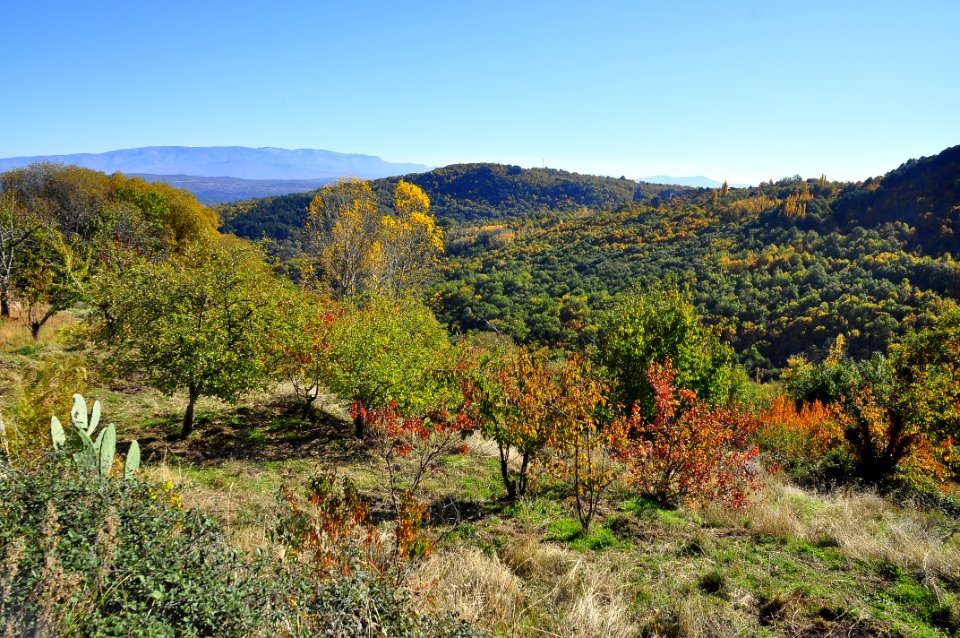 Otoño en la Sierra (37619948065)
