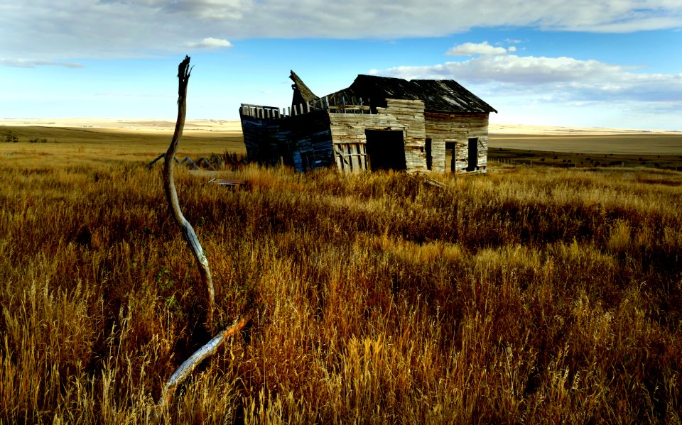 Outback Alberta. (51322331212)