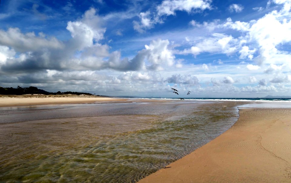 Pakiri Beach Northland NZ. (51083264558)