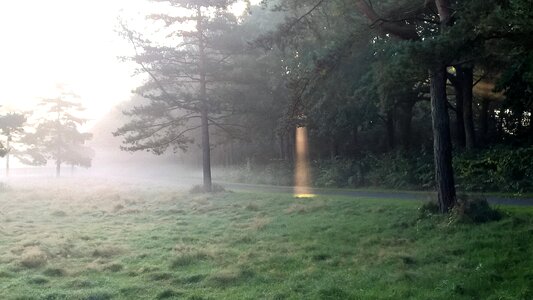 Dis spotlight denmark