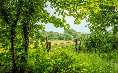 Pant-du farmland, N Wales, UK, 2021. (51264512559)
