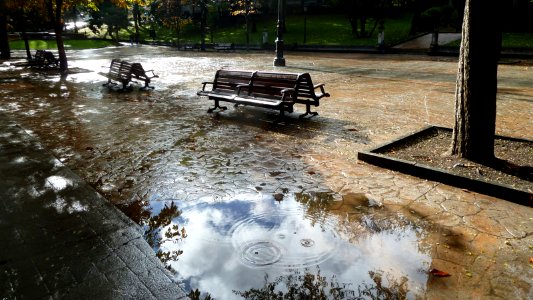 Parque de San Francisco (13988795238)