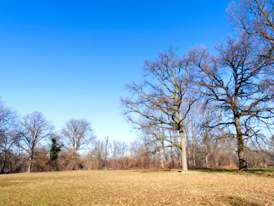 Park scene (49455542472)