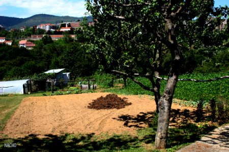 Parque de Invierno, 2013 (9400254756)