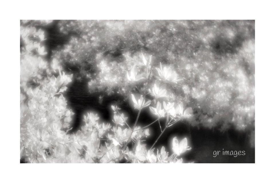 Passage (39769553164)