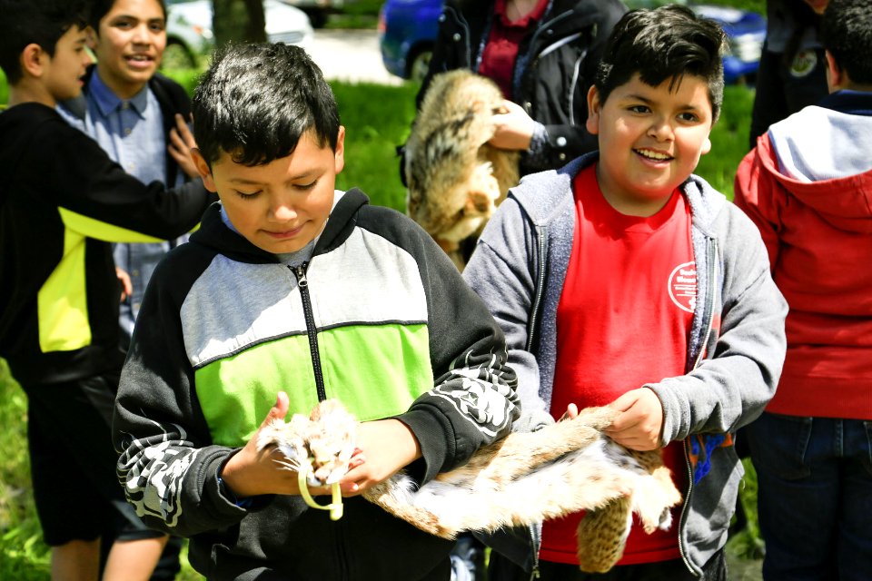 Passing the pelts (33682114074)