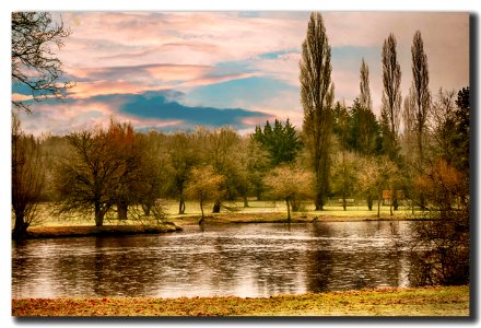Paysage de Sologne (39893327413)