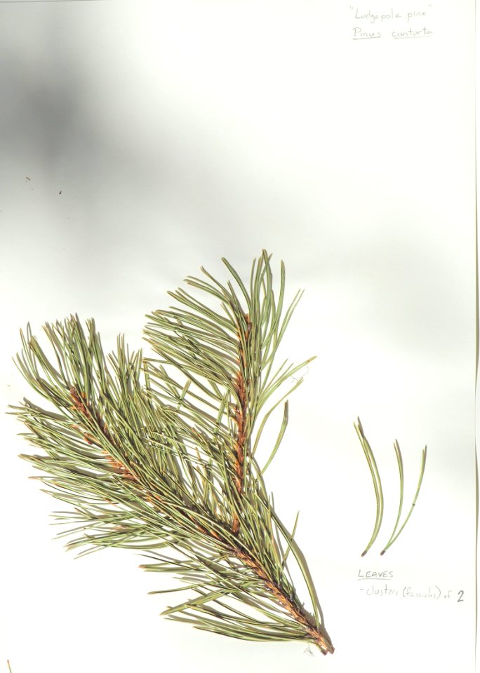 PB300677 (50669302871)