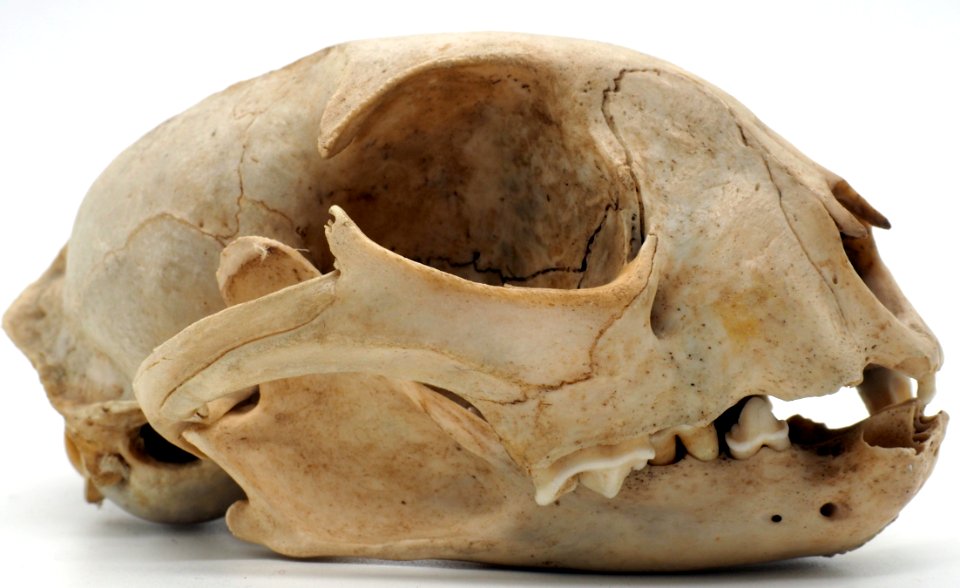PB300592 (50669179497)