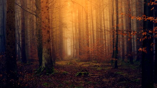 Colourless nature secret