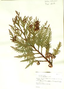 PB300701 (50669328982)