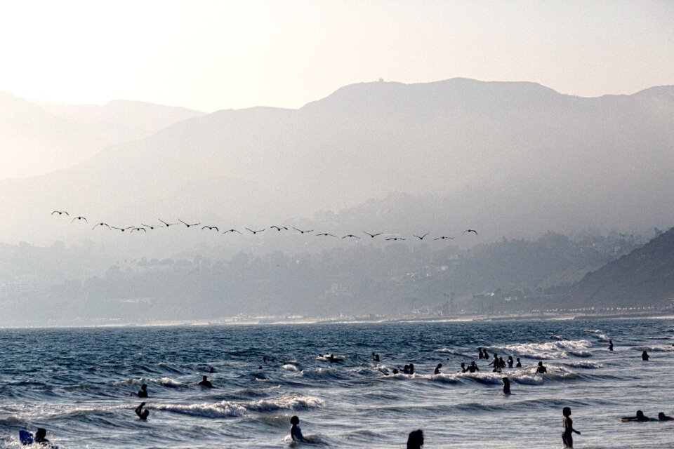 Waves nature beach