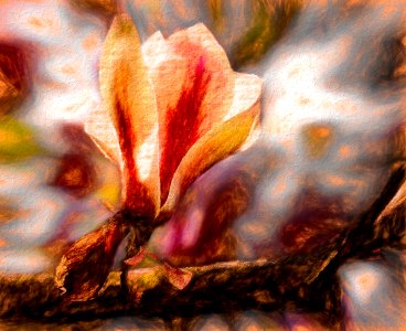 Peinture de Magnolia (39997633552) photo