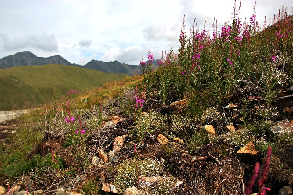 The lower tyrol stones peaks