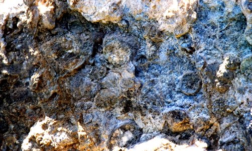 Petrified Logs (26794839319)
