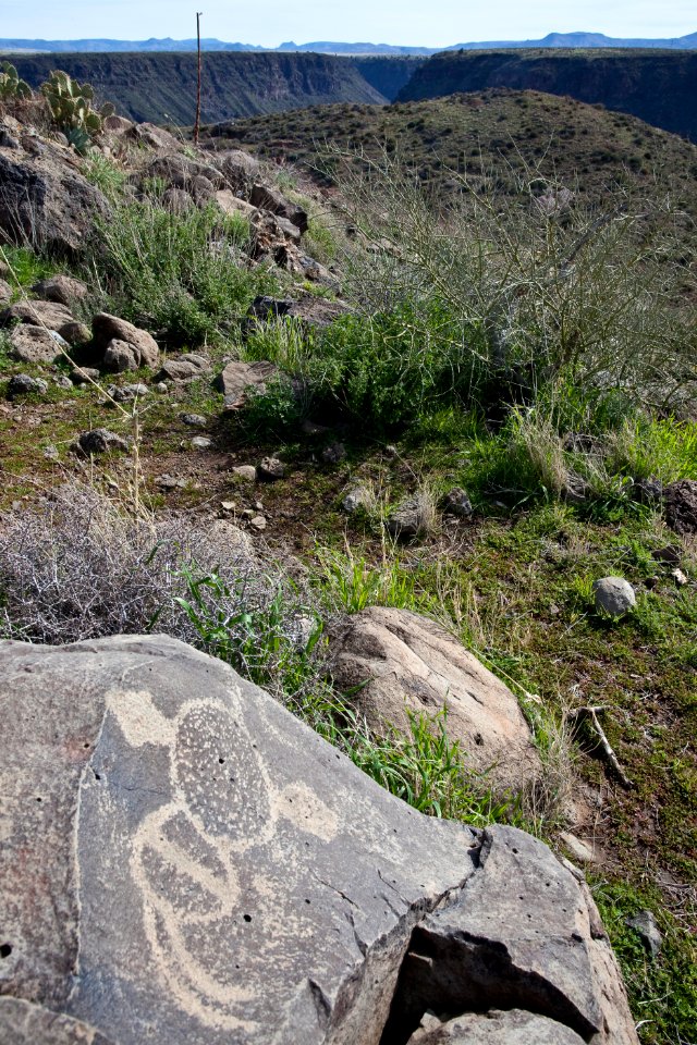 Petroglyphs at Agua Fria National Monument (26091112054)