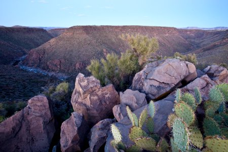 Petroglyphs at Agua Fria National Monument (26696870745)