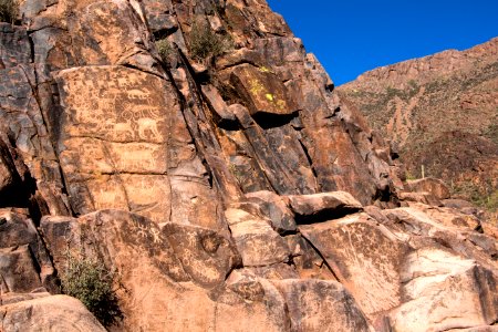 Petroglyph Wall (8273991614) photo