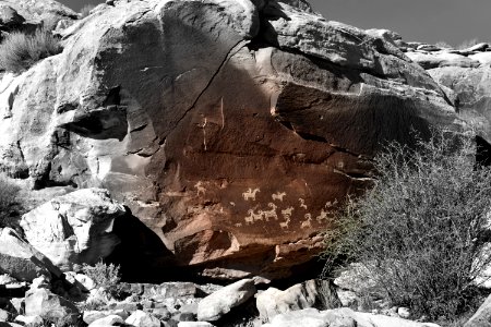 Petroglyphs of Wolfe Ranch (35637933816)