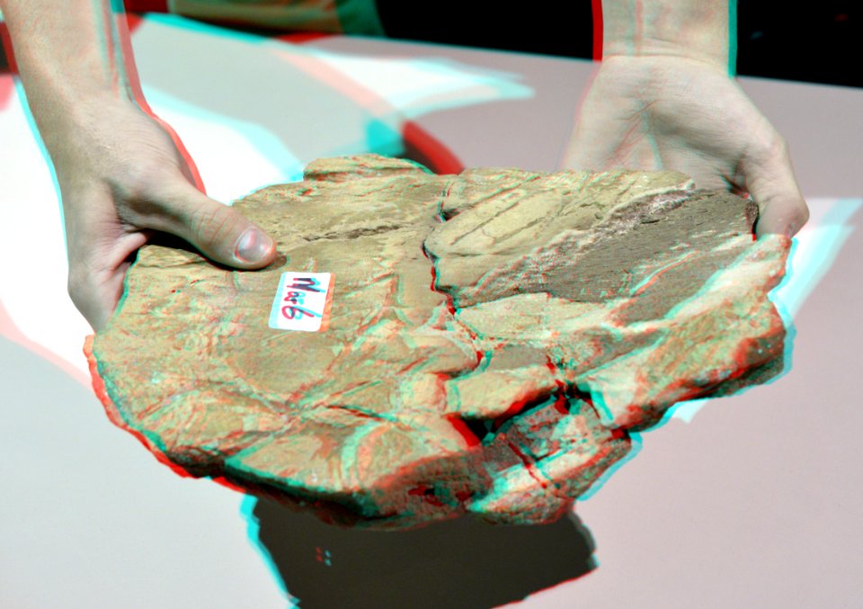 Piece of Triceratops Skull 3D (16536739580)