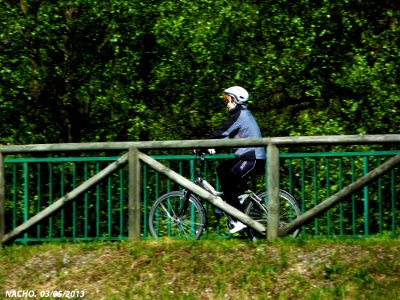 Pista del río Gafu (10463100853)