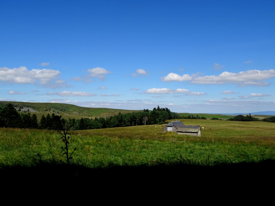 Plateau de prairies à perte de vue et burons, avant Cézens, Cantal
