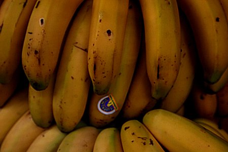 Platanos (14344582426)