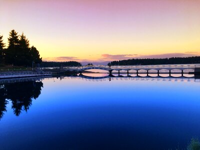 Trees park vancouver island photo