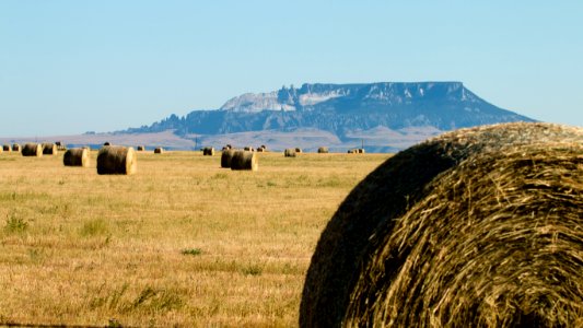Square Butte, MT (35393151944)