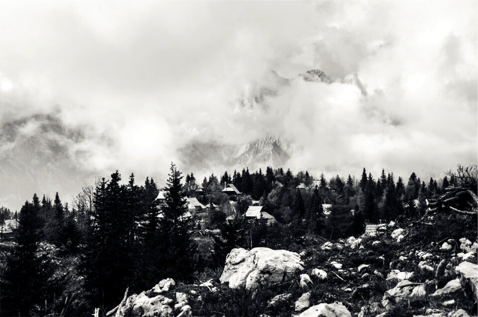 Boulders trees mountains
