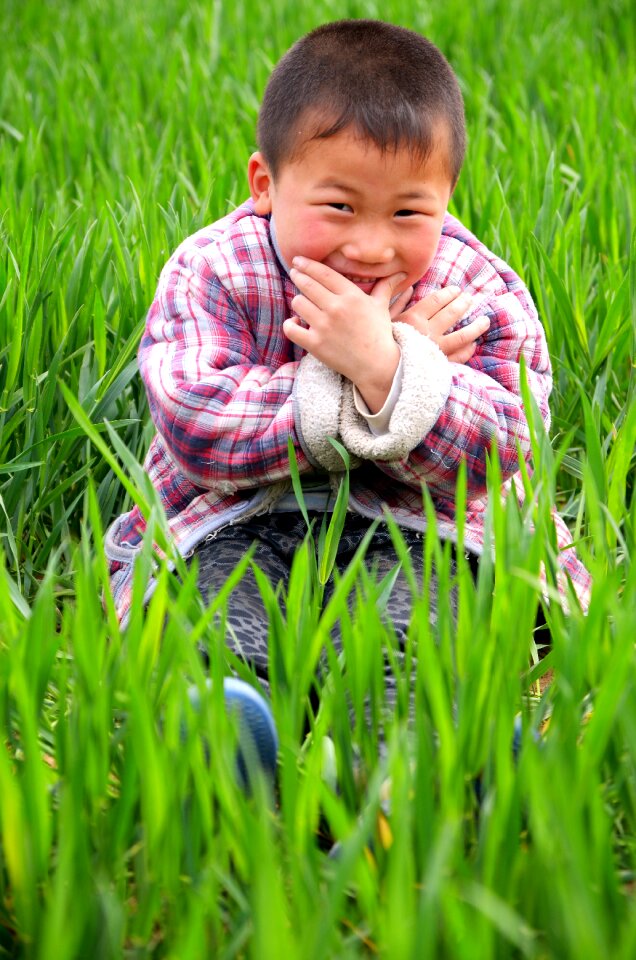 Portrait child in wheat field