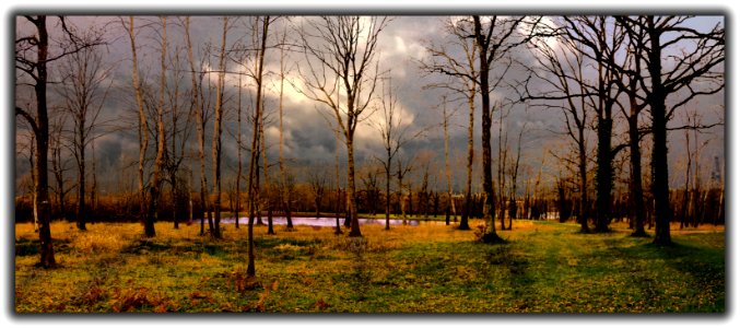 Stormy weather (46652478404)