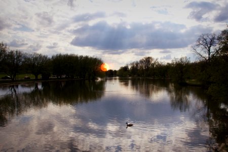 Stratford Ontario - Canada - Avon River - Victoria Lake - Blood Moon (51559431033) photo