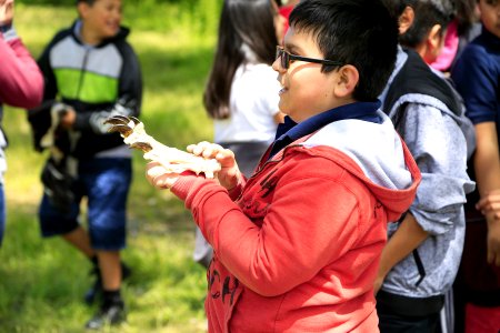 Students dig the fossils (33714365193)
