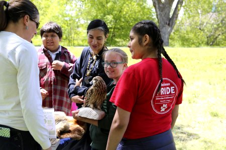 Students are fascinated by the wildlife (34483650916)